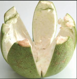 點(diǎn)擊進(jìn)入下一頁(yè)